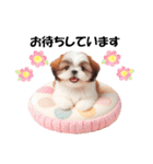 かわいいシーズーの犬スタンプ（個別スタンプ：23）