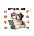 かわいいシーズーの犬スタンプ（個別スタンプ：24）