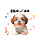 かわいいシーズーの犬スタンプ（個別スタンプ：25）