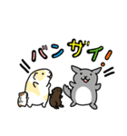 ブタネのモルモットスタンプ（個別スタンプ：8）