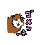ブタネのモルモットスタンプ（個別スタンプ：10）
