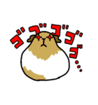 ブタネのモルモットスタンプ（個別スタンプ：14）