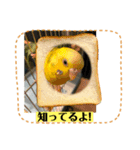 美ぃやちストーリー（個別スタンプ：1）