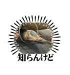 美ぃやちストーリー（個別スタンプ：4）