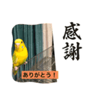 美ぃやちストーリー（個別スタンプ：5）