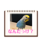 美ぃやちストーリー（個別スタンプ：7）