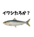 魚のダジャレ集（個別スタンプ：1）