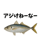 魚のダジャレ集（個別スタンプ：2）