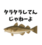 魚のダジャレ集（個別スタンプ：4）