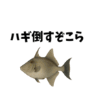 魚のダジャレ集（個別スタンプ：5）