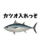 魚のダジャレ集（個別スタンプ：6）