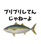 魚のダジャレ集（個別スタンプ：7）