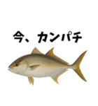 魚のダジャレ集（個別スタンプ：8）