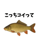 魚のダジャレ集（個別スタンプ：9）