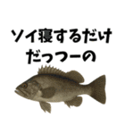 魚のダジャレ集（個別スタンプ：12）