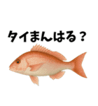 魚のダジャレ集（個別スタンプ：13）