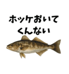 魚のダジャレ集（個別スタンプ：15）