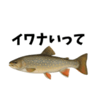 魚のダジャレ集（個別スタンプ：16）
