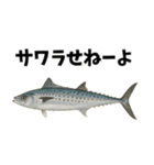 魚のダジャレ集（個別スタンプ：18）