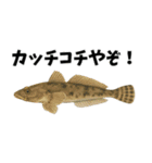 魚のダジャレ集（個別スタンプ：20）