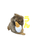 アニまるスピリット（個別スタンプ：6）