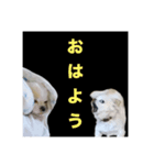 アニまるスピリット（個別スタンプ：8）