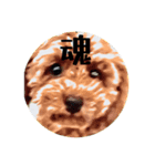 程よい挨拶（個別スタンプ：1）