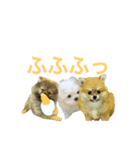 程よい挨拶（個別スタンプ：4）