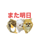 程よい挨拶（個別スタンプ：5）