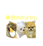 割とキュート（個別スタンプ：4）