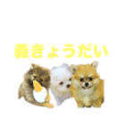 割とキュート（個別スタンプ：6）