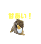 割とキュート（個別スタンプ：8）