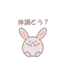 患者を支えるウサギ（個別スタンプ：1）
