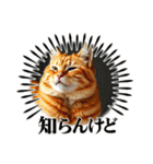 毎日使える⭐︎茶トラ猫の日常。（個別スタンプ：1）