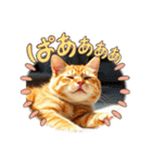 毎日使える⭐︎茶トラ猫の日常。（個別スタンプ：4）