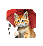 毎日使える⭐︎茶トラ猫の日常。（個別スタンプ：5）