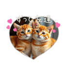 毎日使える⭐︎茶トラ猫の日常。（個別スタンプ：9）