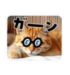 毎日使える⭐︎茶トラ猫の日常。（個別スタンプ：16）