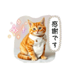 毎日使える⭐︎茶トラ猫の日常。（個別スタンプ：18）