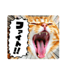 毎日使える⭐︎茶トラ猫の日常。（個別スタンプ：21）