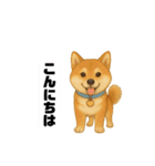 うちの柴犬のスタンプ（個別スタンプ：2）