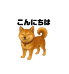 うちの柴犬のスタンプ（個別スタンプ：3）