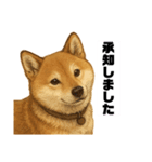 うちの柴犬のスタンプ（個別スタンプ：6）
