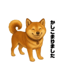 うちの柴犬のスタンプ（個別スタンプ：7）