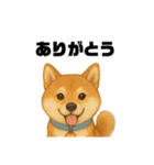 うちの柴犬のスタンプ（個別スタンプ：9）