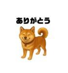 うちの柴犬のスタンプ（個別スタンプ：10）