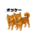 うちの柴犬のスタンプ（個別スタンプ：12）