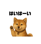 うちの柴犬のスタンプ（個別スタンプ：15）