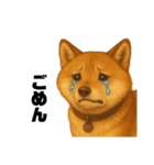 うちの柴犬のスタンプ（個別スタンプ：18）