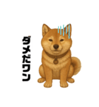 うちの柴犬のスタンプ（個別スタンプ：19）
